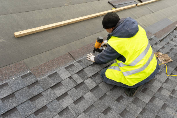 Best Roof Gutter Cleaning  in Port Norris, NJ